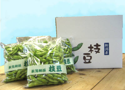 新潟名産・朝採り枝豆 ２kg