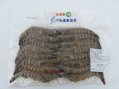 車えび 直送いたします 車えびの直送なら 博多浦マリンファーム 冷凍車えび ｍサイズ