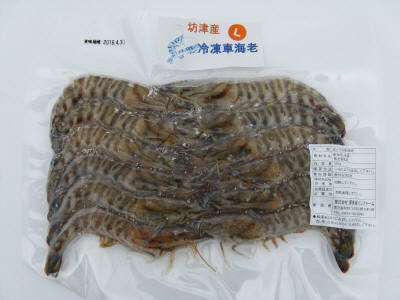 車えび 直送いたします 車えびの直送なら 博多浦マリンファーム 冷凍車えび ｌサイズ
