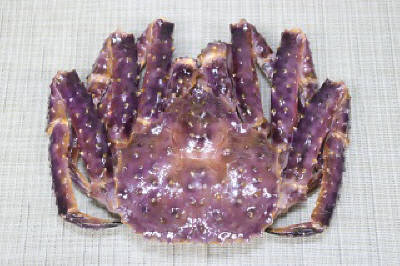 タラバガニ（生）