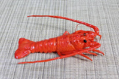 伊勢海老（ゆで）（小）