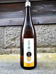 山の井 純米酒　60　720ml