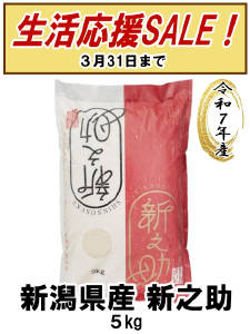 新潟県産【新之助】５kg