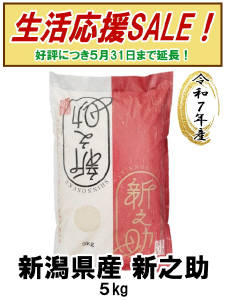 新潟県産【新之助】５kg