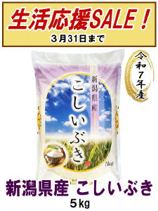 新潟県産【こしいぶき】５kg