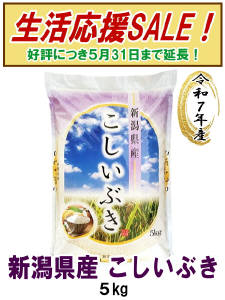 新潟県産【こしいぶき】５kg